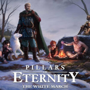 Pillars of Eternity: Hero Edition + The White March (Part 1) Steam CD Key