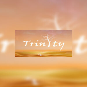 Trinity Steam CD Key