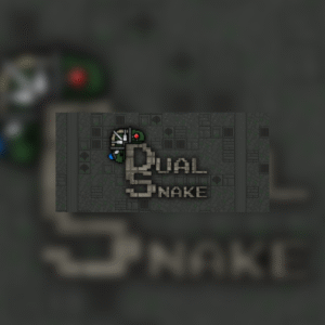 Dual Snake Steam CD Key