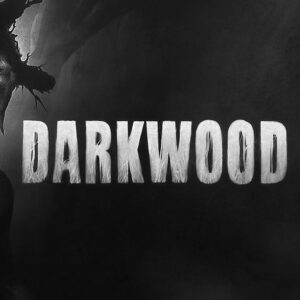 Darkwood Steam Altergift