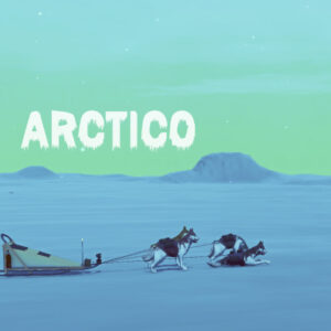 Arctico PC Steam CD Key