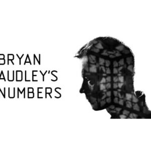 Bryan Audley's Numbers Steam CD Key