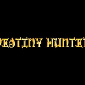 Destiny Hunter PC Steam CD Key