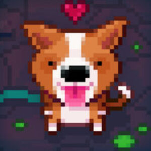 Fidel Dungeon Rescue PC Steam CD Key