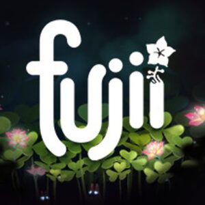 Fujii Steam CD Key