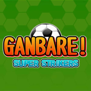 Ganbare! Super Strikers PC Steam CD Key