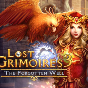 Lost Grimoires 3: The Forgotten Well PC Steam CD Key