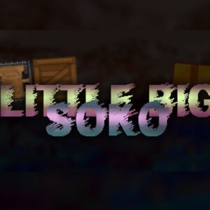 LittleBigSoko Steam CD Key