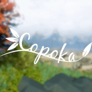 Copoka PC Steam CD Key