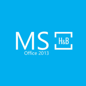 MS Office 2013 Home and Business OEM Key