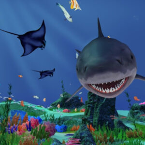 Fancy Fishing VR PC Steam CD Key