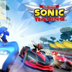 Team Sonic Racing Steam Altergift