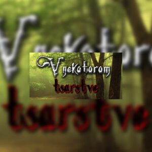 V nekotorom tsarstve Steam CD Key