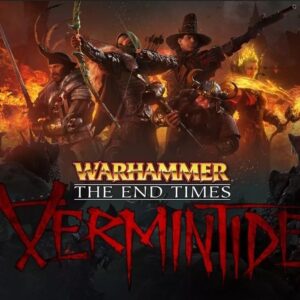 Warhammer: End Times - Vermintide Dwarf Helmet DLC Steam CD Key