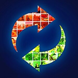 Movavi Video Converter 19 Key (1 PC)