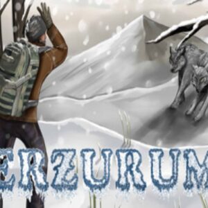 Erzurum Steam CD Key