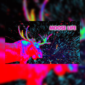 Moose Life Steam CD Key