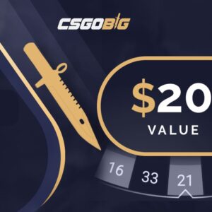 CSGOBIG $20 Gift Card