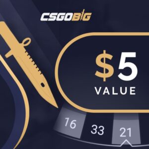 CSGOBIG $5 Gift Card