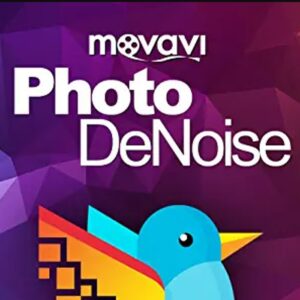 Movavi Photo DeNoise Key (1 PC)