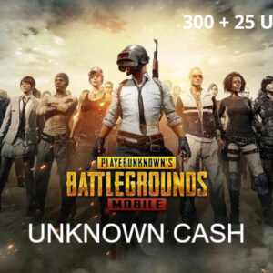 PUBG Mobile - 300 + 25 UC CD Key