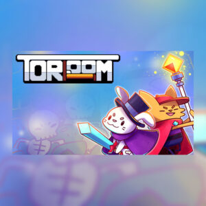 Toroom PC Steam CD Key