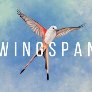 Wingspan Steam CD Key